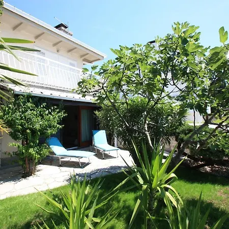 Aurelia Apartment